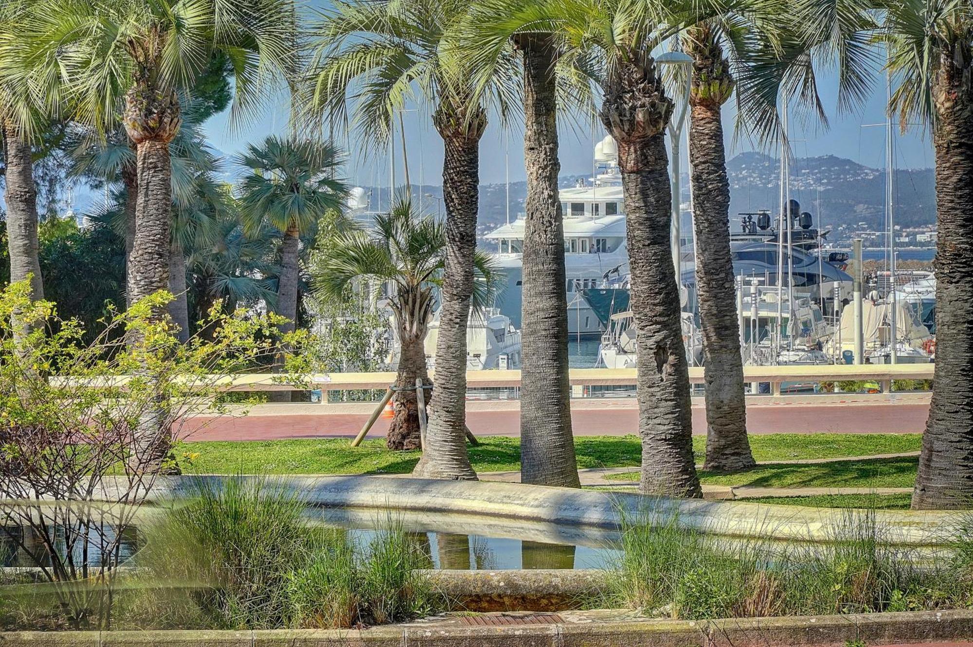 Le Palm - 100M Plage - Croisette - Verriere Cote D'Azur Cannes Zewnętrze zdjęcie