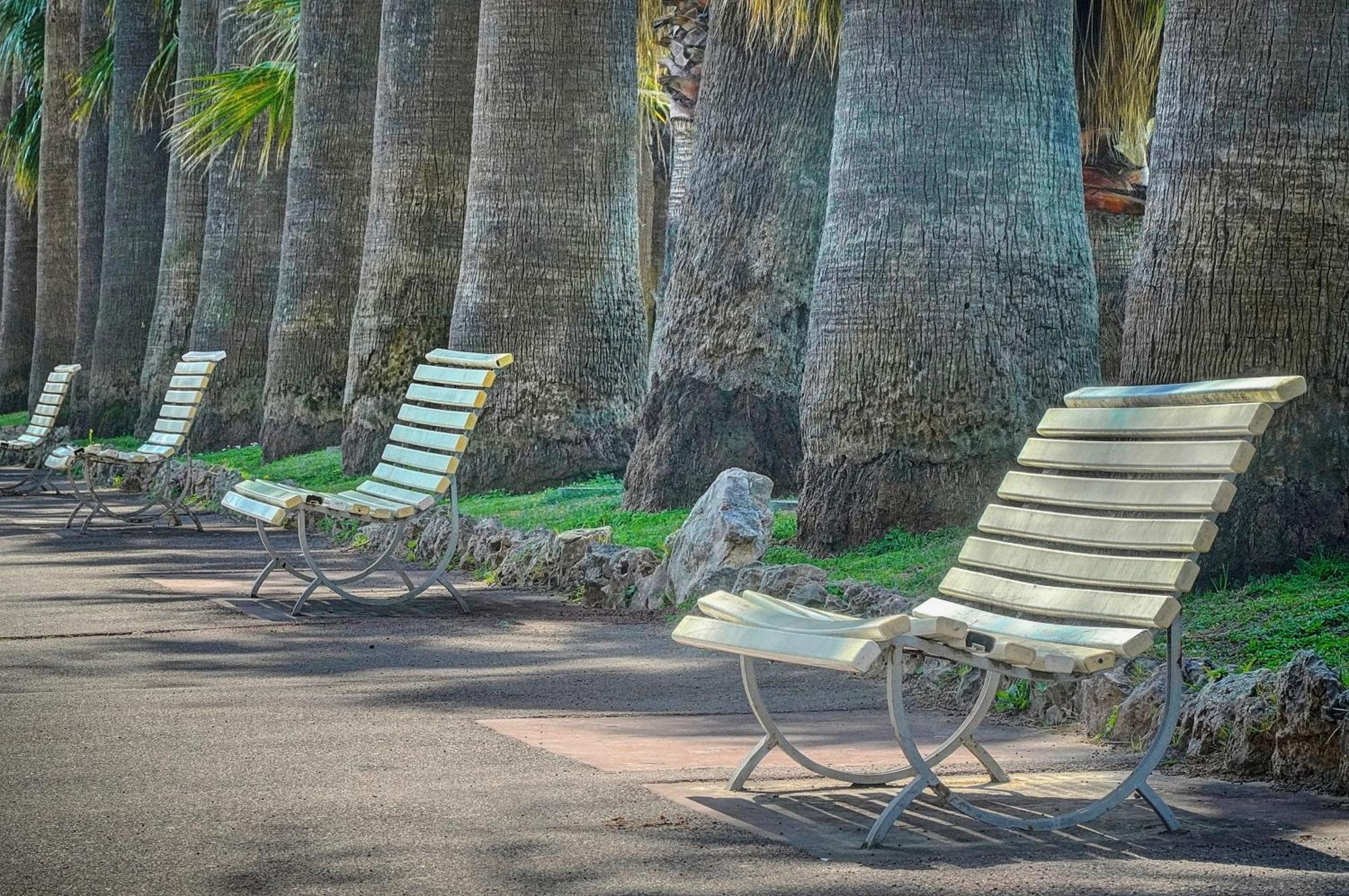 Le Palm - 100M Plage - Croisette - Verriere Cote D'Azur Cannes Zewnętrze zdjęcie