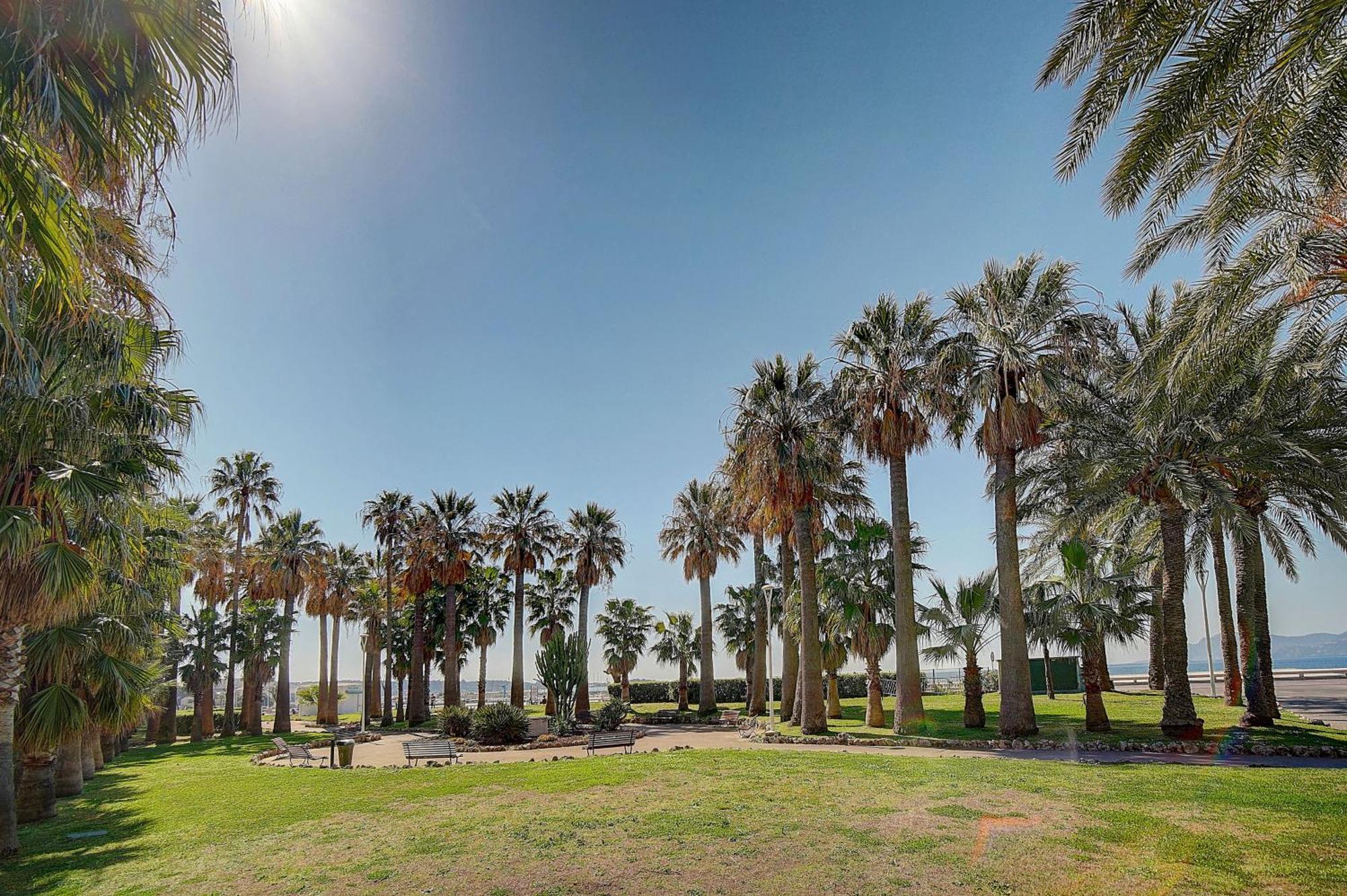 Le Palm - 100M Plage - Croisette - Verriere Cote D'Azur Cannes Zewnętrze zdjęcie