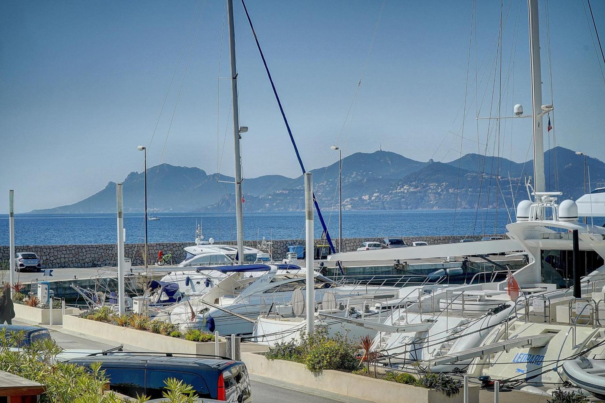 Le Palm - 100M Plage - Croisette - Verriere Cote D'Azur Cannes Zewnętrze zdjęcie
